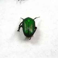 > </div>
<div class=